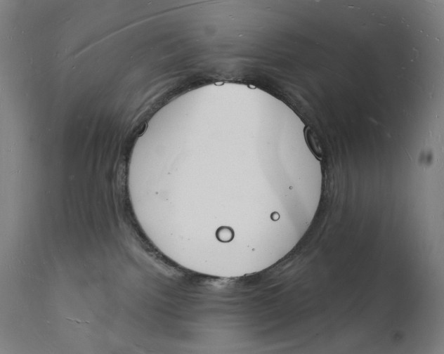 X0000112140092200908281327