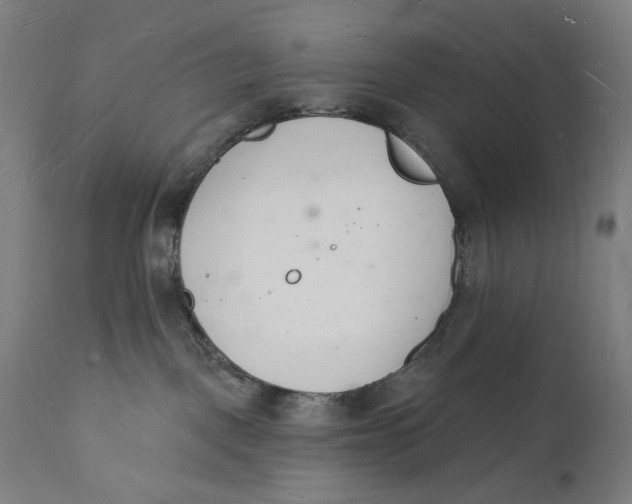 X0000112140093200908281327