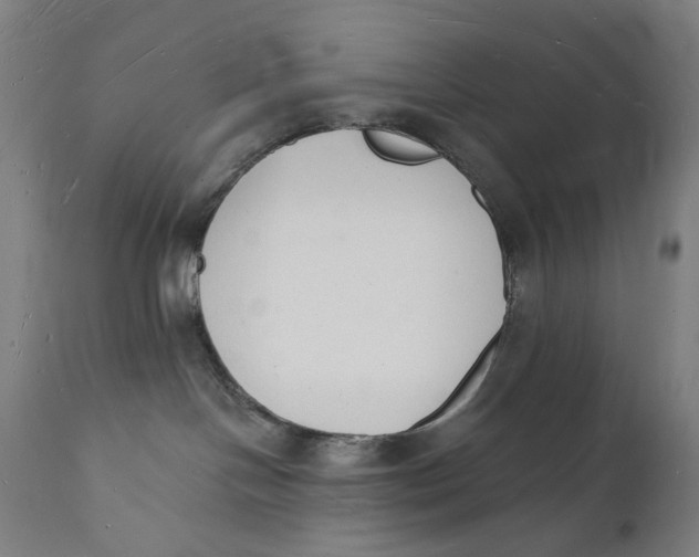 X0000112140094200908281327