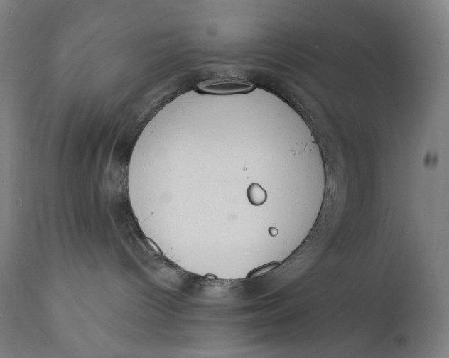 X0000112140096200908281327