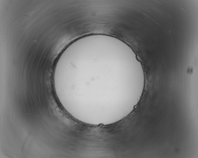 X0000112140098200908281326