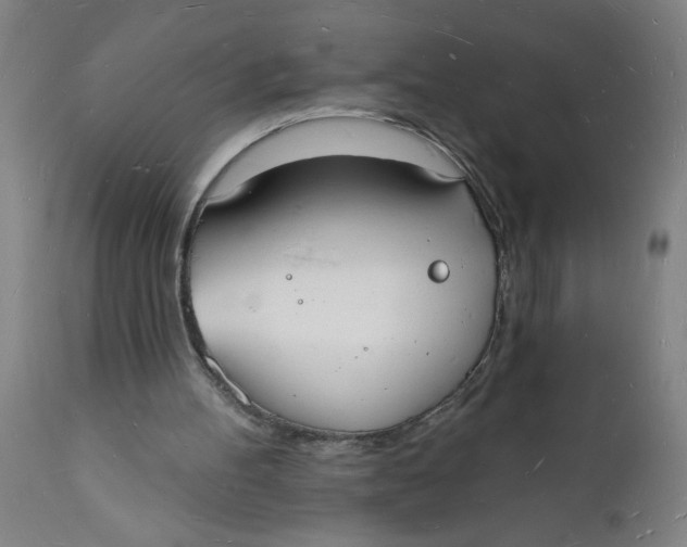 X0000112140100200908281326