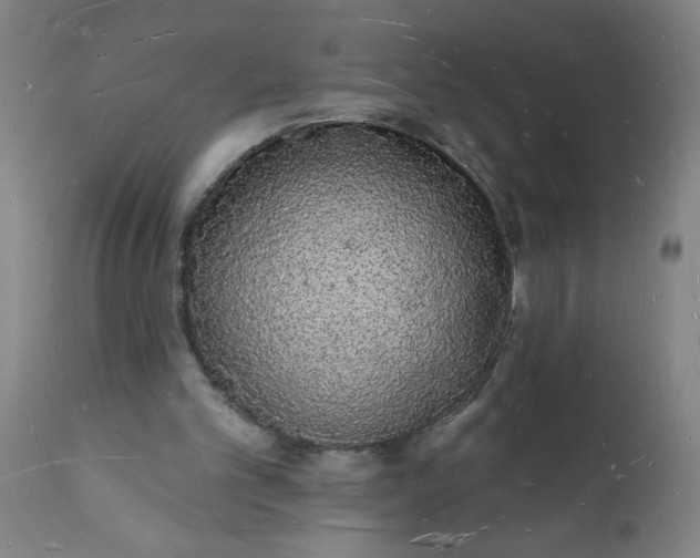 X0000112140101200908281326