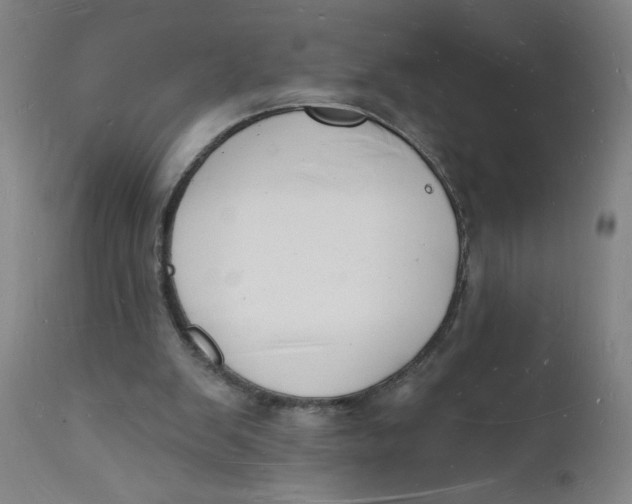 X0000112140103200908281326