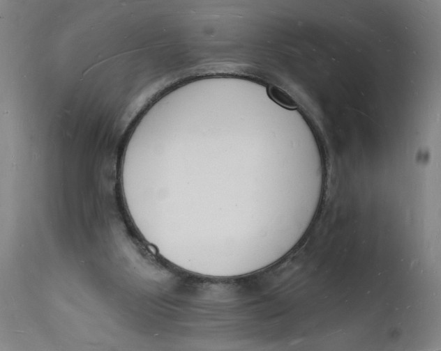 X0000112140107200908281326