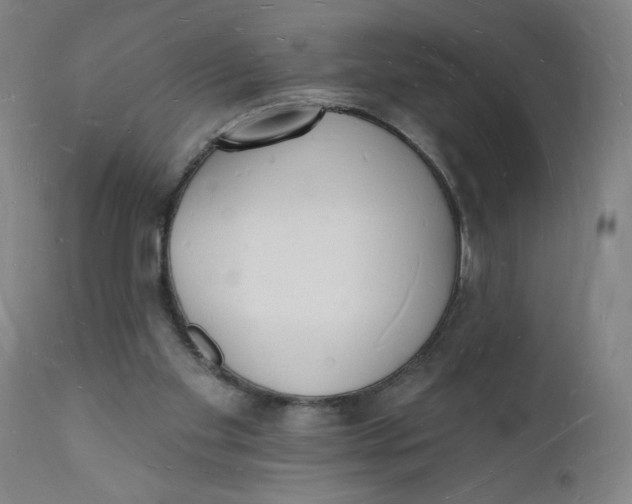 X0000112140109200908281326