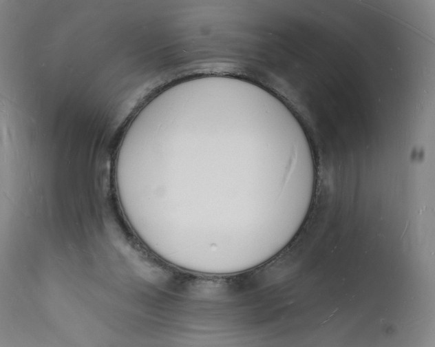 X0000112140110200908281326