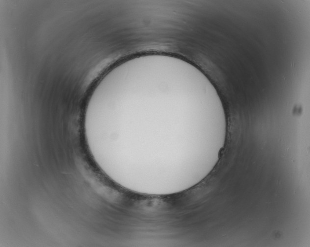 X0000112140112200908281326