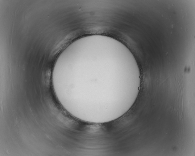 X0000112140118200908281326