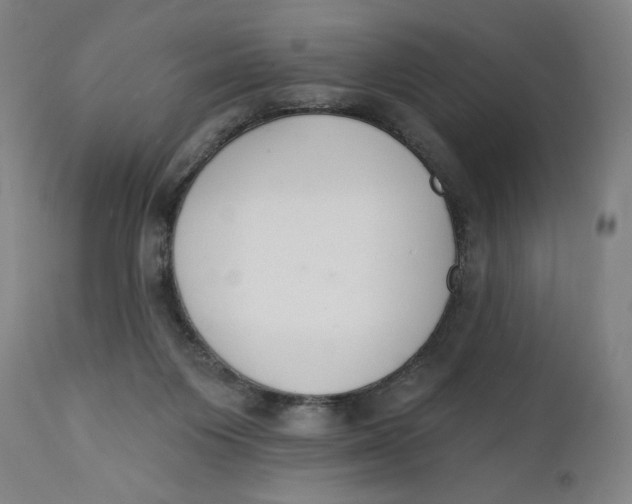 X0000112140119200908281326