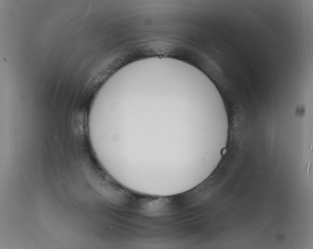 X0000112140122200908281326