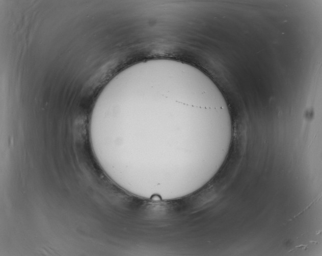 X0000112140127200908281326