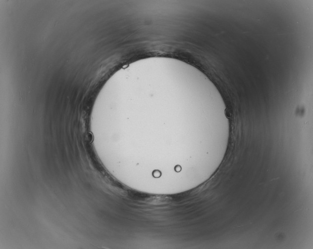 X0000112140128200908281326