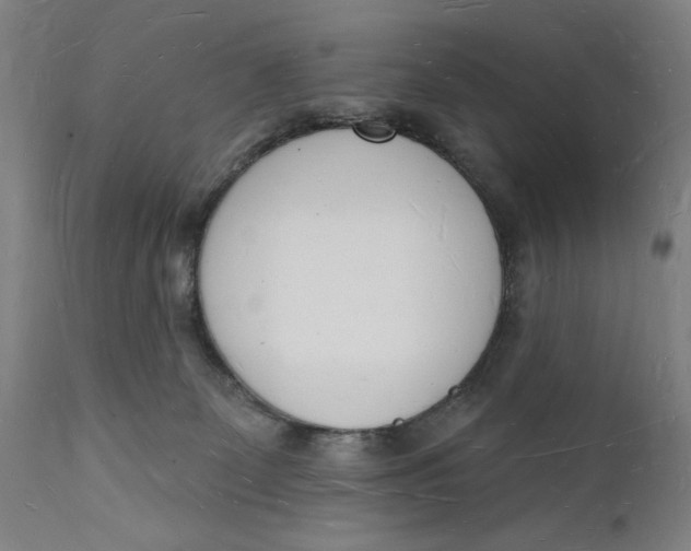 X0000112140131200908281326