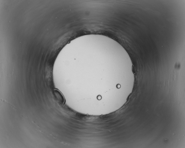 X0000112140132200908281326