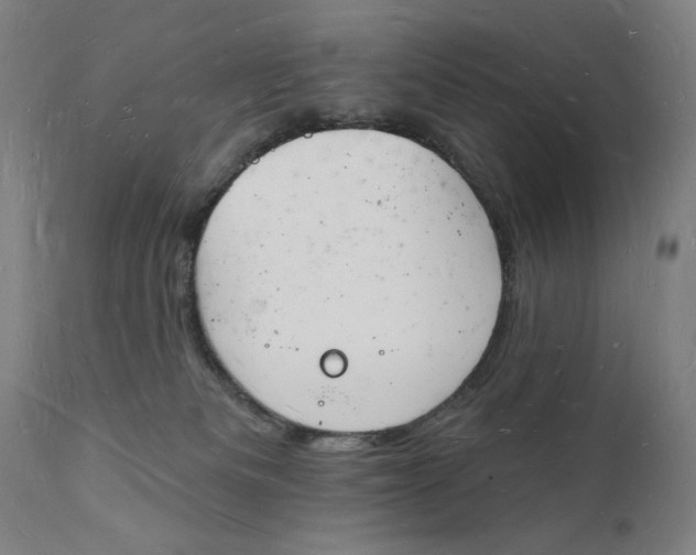 X0000112140133200908281326