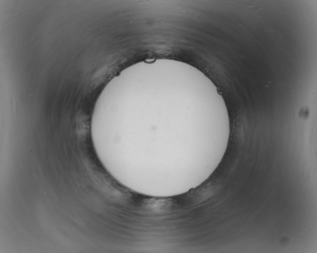 X0000112140135200908281326