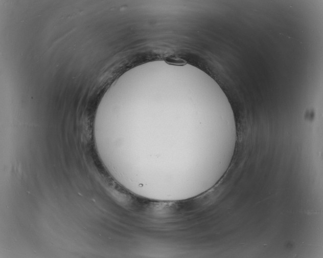 X0000112140136200908281326