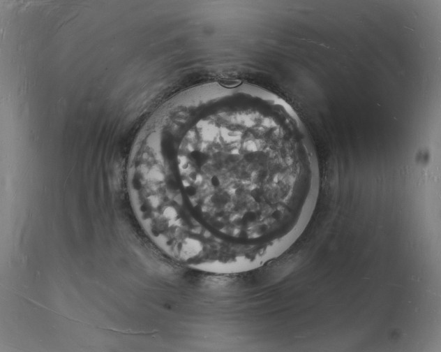 X0000112140139200908281326