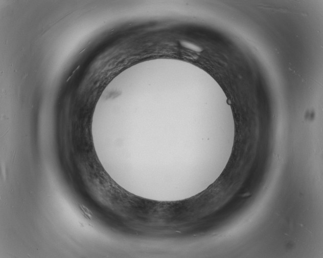 X0000112140142200908281326