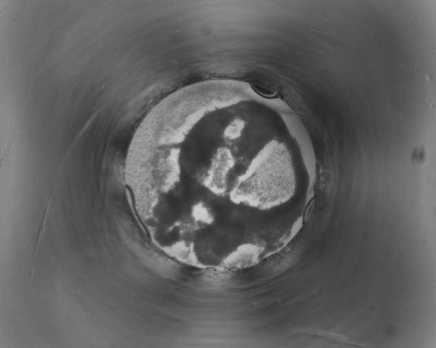 X0000112140143200908281326