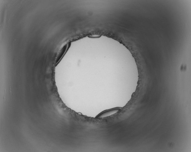 X0000112140144200908281326