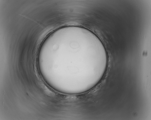 X0000112140145200908281325