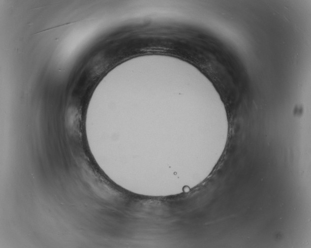 X0000112140146200908281325