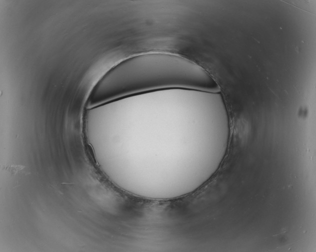 X0000112140148200908281325