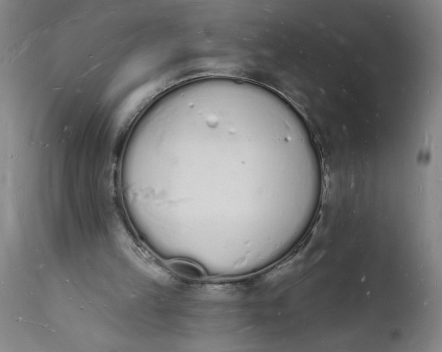 X0000112140149200908281325