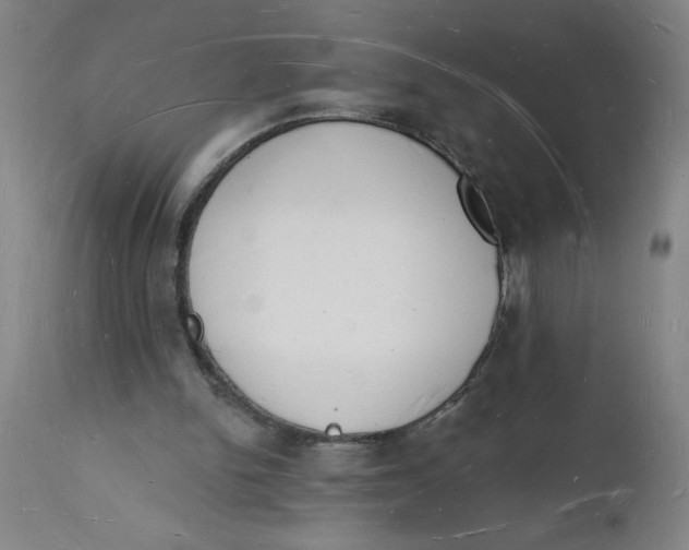 X0000112140150200908281325