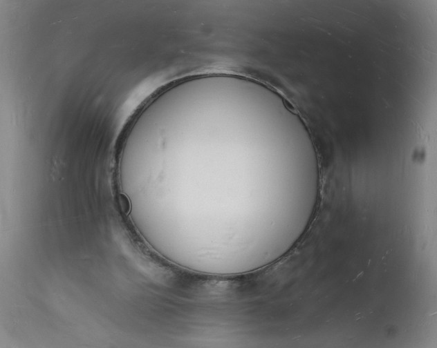 X0000112140152200908281325