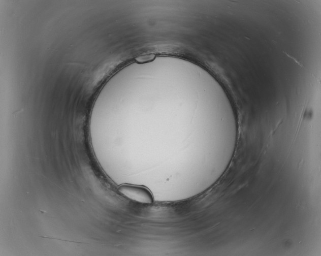 X0000112140154200908281325