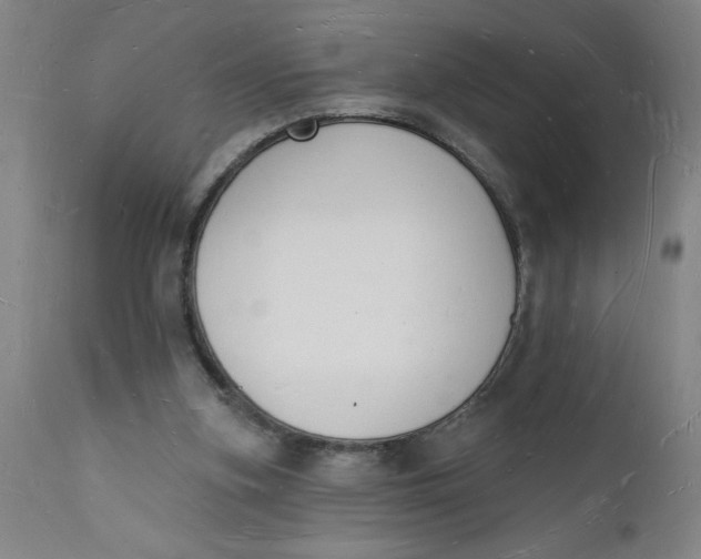 X0000112140155200908281325