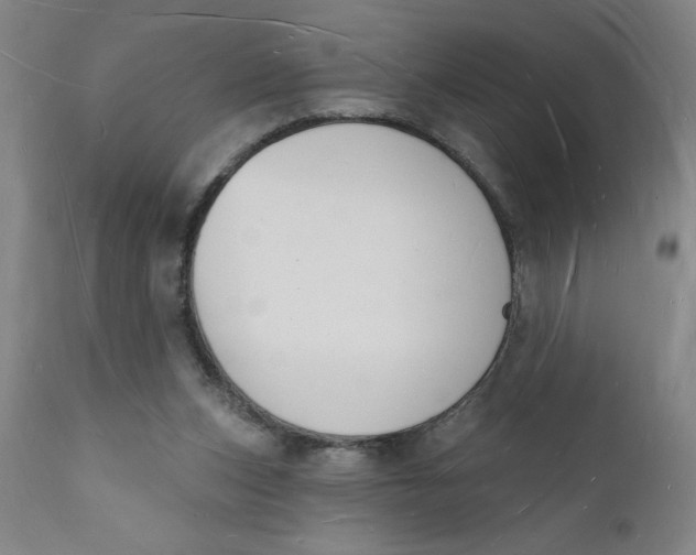 X0000112140159200908281325