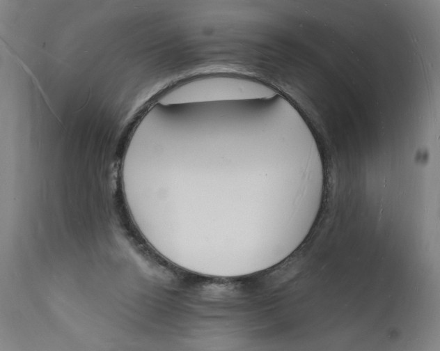 X0000112140160200908281325