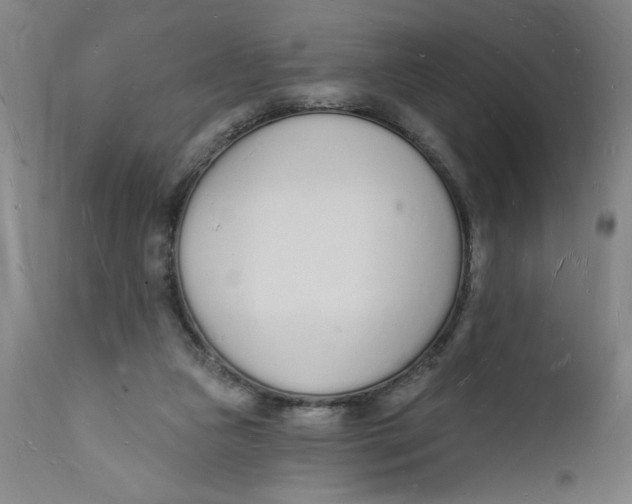 X0000112140161200908281325