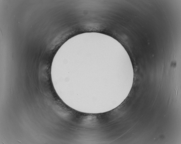 X0000112140162200908281325