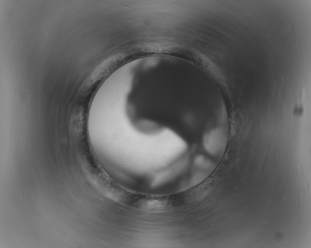 X0000112140163200908281325