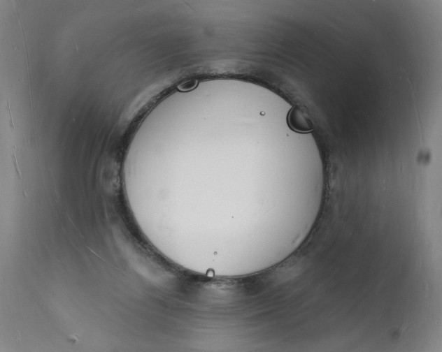 X0000112140164200908281325