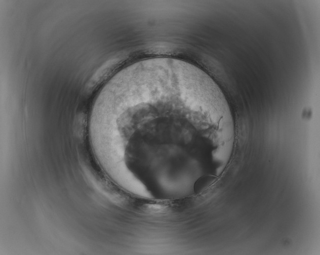 X0000112140167200908281325