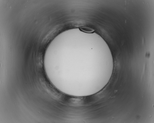 X0000112140170200908281325