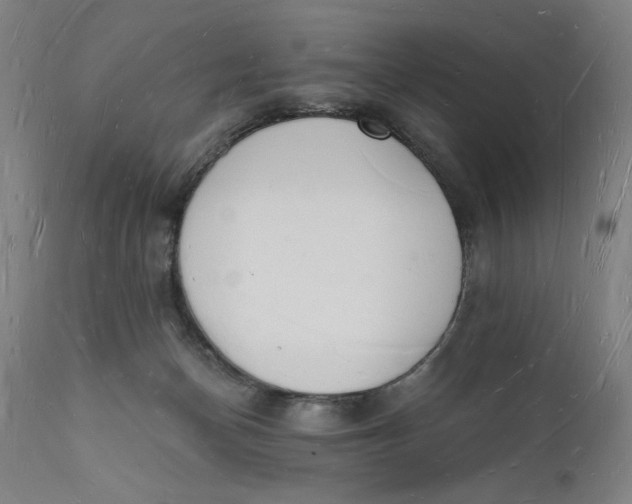 X0000112140174200908281325