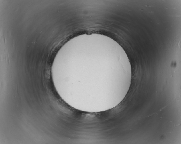 X0000112140180200908281325