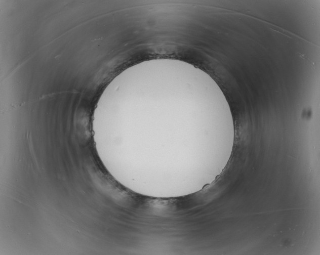 X0000112140187200908281325