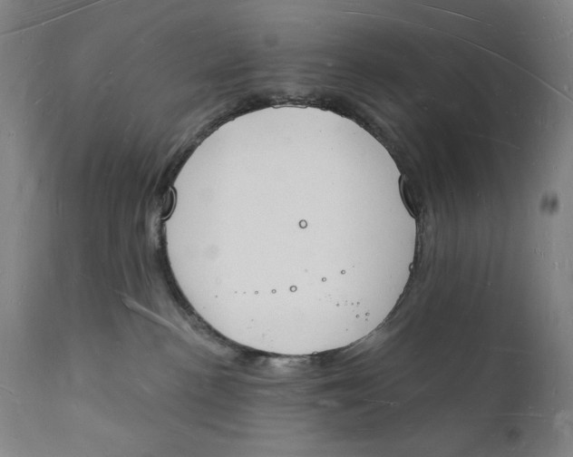 X0000112140188200908281325