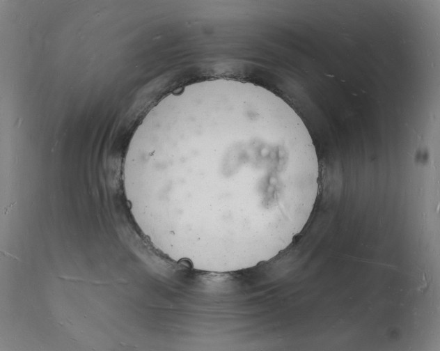 X0000112140189200908281325