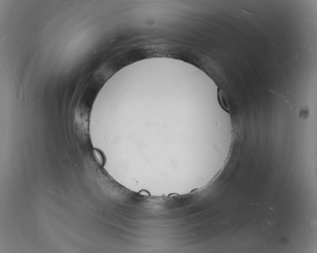 X0000112140190200908281326