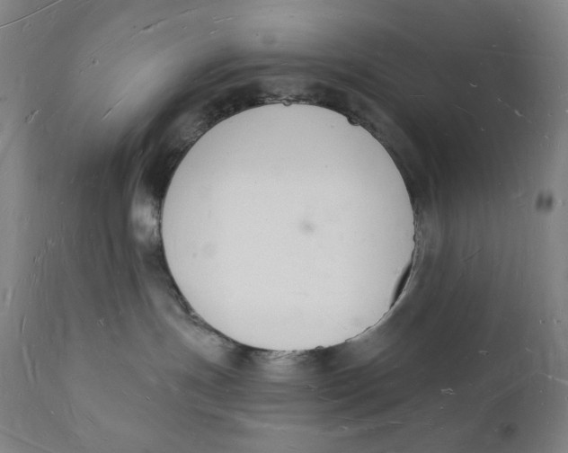 X0000112140191200908281326