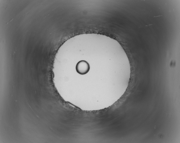 X0000112140192200908281326